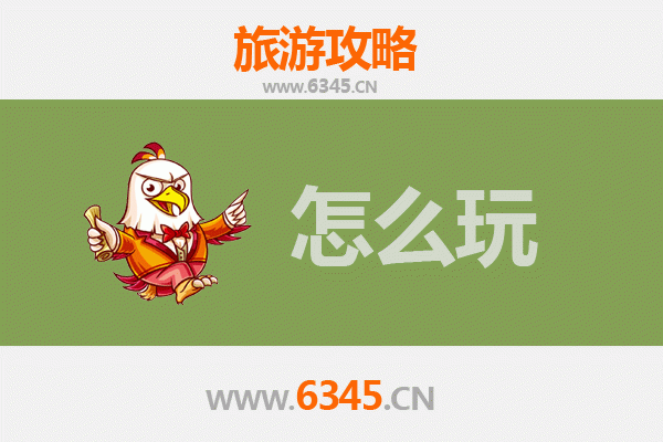 节假日安国药都之旅：中医药文化与古城风情的完美融合